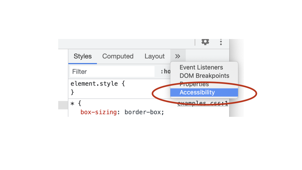 Accessibility section in Chrome