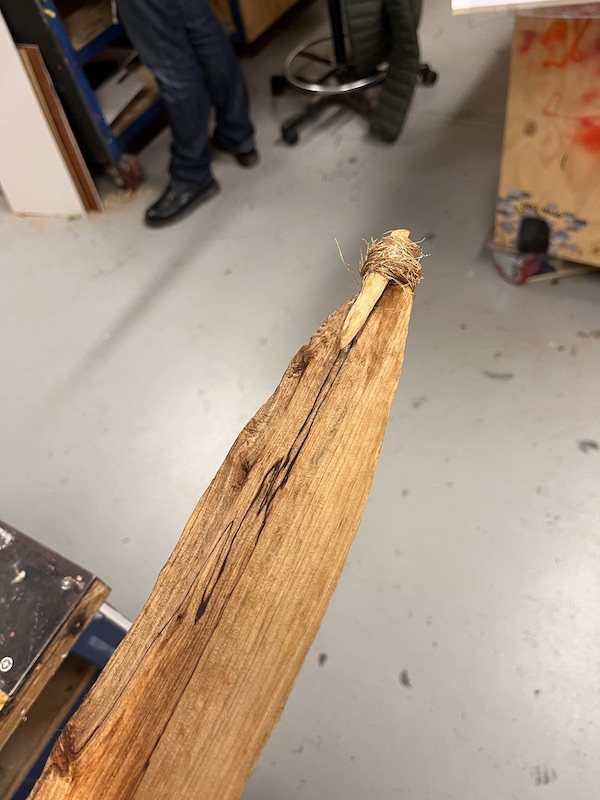Close of of the woomera spear attachment